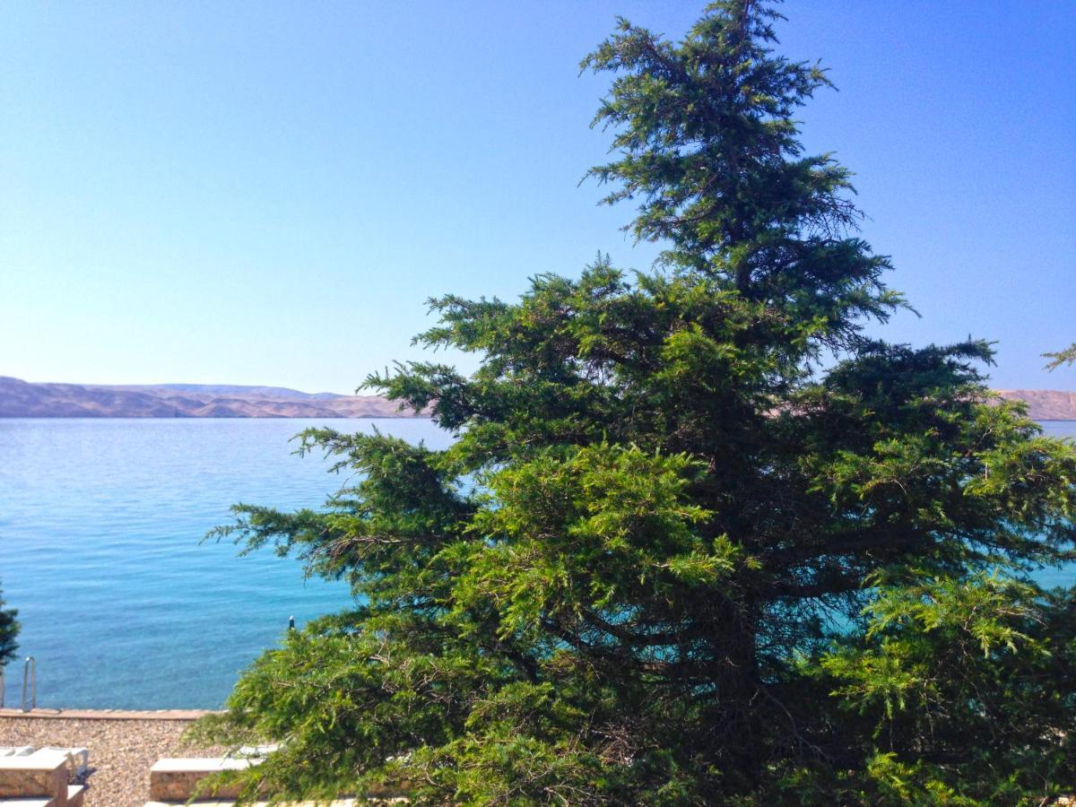 Apartmani Ribarica**** Karlobag Εξωτερικό φωτογραφία